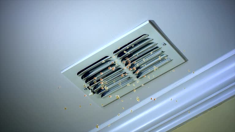 Best Ductwork Cleaning Services  in Eagle Point, AL