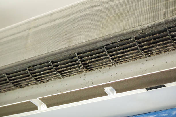 Best Dryer Vent Cleaning Services  in Eagle Point, AL